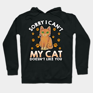 Excuse For Introverts My Cat Doesnt Like You Funny Cat Lover Hoodie